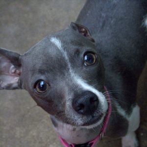 Meet your Posher, Wanda